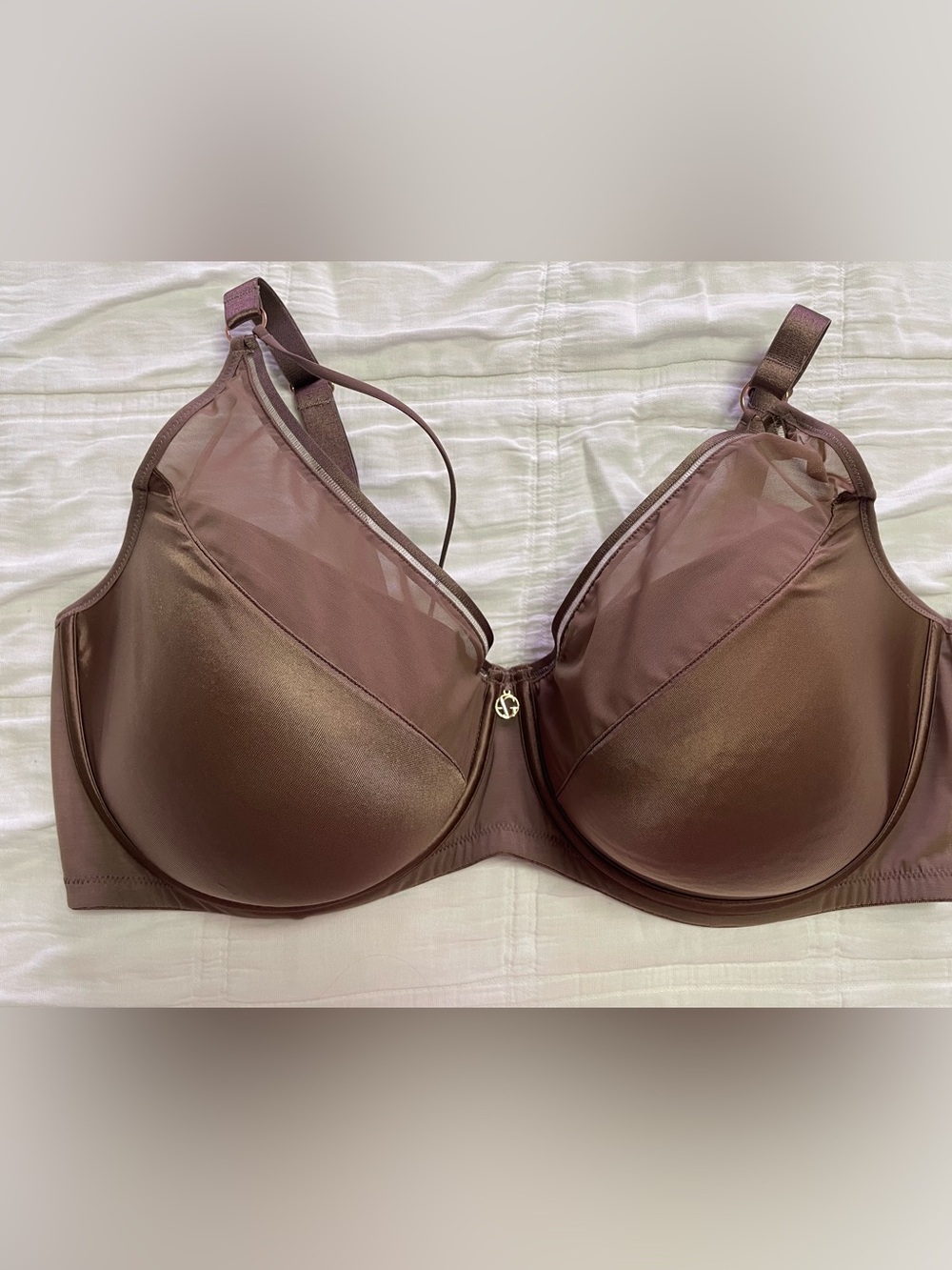 Women’s Brown T-Shirt Bra with Sheer Detail